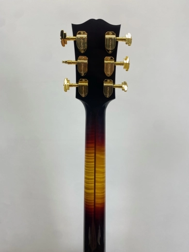 Gibson - AC20BPWVSGH 6